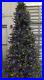Christmas_Tree_9_Ft_2700_Radiant_Micro_LED_Lights_Pre_Lit_Aspen_LOCAL_PICKUP_01_rxe