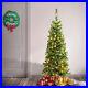 Christmas_Tree_Artificial_Xmas_7FT_Pre_Lit_Douglas_Fir_with_Bicolor_LED_Lights_01_qamw
