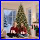 Christmas_Tree_Pre_Lit_Pre_Decorated_Artificial_7_5ft_Frosted_Pine_Decoration_01_vm