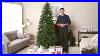 Classic_Pre_Lit_Christmas_Tree_7_5_Ft_Product_Review_Video_01_xwz