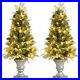Costway_4ft_Set_of_2_Pre_lit_Snowy_Christmas_Entrance_Tree_with_100_LED_Lights_01_vxi
