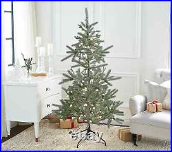 Ebenezer & Co. 5' Prelit Fraser Fir Christmas Tree 200 warm white microdot LED +