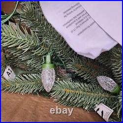 Ebenezer & Co. 5' Prelit Fraser Fir Christmas Tree 200 warm white microdot LED +