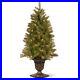 Ergode_4_ft_Downswept_Douglas_R_Fir_Entrance_Tree_with_Clear_Lights_01_dadq
