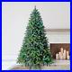 Evergreen_Classics_7_5_Washington_Spruce_Christmas_Tree_with_400_LED_Lights_01_ctsz