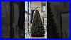Every_Christmas_Tree_Needs_These_Lights_01_mct