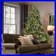 FREE_SHIPPING_Christmas_Tree_5_Ft_350_Lights_Hinged_1129_Branches_01_otb