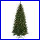 Finley_Home_9_Pre_lit_Classic_Pine_Full_Artificial_Christmas_Tree_clear_lights_01_vbcf