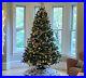 Flexible_Flyer_7_5_Ft_Christmas_Tree_Prelit_Full_Evergreen_with_Lights_Fold_01_ybzr