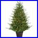 Fraser_Hill_Farm_5_ft_Adirondack_Potted_Christmas_Tree_Warm_White_LED_Lights_01_xecd
