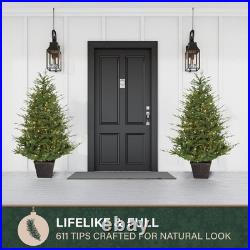Fraser Hill Farm 5-ft. Adirondack Potted Christmas Tree Warm White LED Lights
