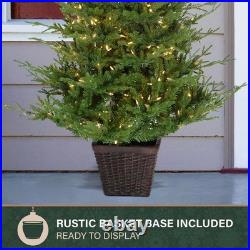 Fraser Hill Farm 5-ft. Adirondack Potted Christmas Tree Warm White LED Lights
