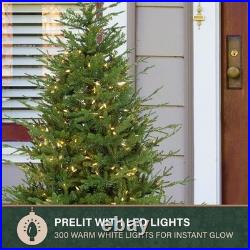 Fraser Hill Farm 5-ft. Adirondack Potted Christmas Tree Warm White LED Lights