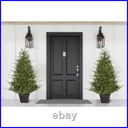 Fraser Hill Farm 5-ft. Adirondack Potted Christmas Tree Warm White LED Lights