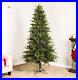 GE_7_ft_Asheville_Fir_Pre_Lit_Traditional_Artificial_Christmas_Tree_500_LIGHTS_01_fof