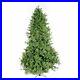 Garden_Elements_North_Star_Spruce_Christmas_Tree_4_5_Feet_200_LED_Lights_01_gv