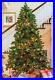 Garden_Elements_Penn_Spruce_Christmas_Tree_900_Multi_Colored_Lights_6_5_01_sje