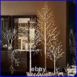 Hairui Lighted Birch Tree 8FT 240 Warm White Lights, White Twig Tree with Lights Hairui Lighted Birch Tree 8FT 240 Warm White Lights, White Twig Tree with Lights