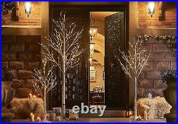 Hairui Lighted Birch Tree 8FT 240 Warm White Lights, White Twig Tree with Lights Hairui Lighted Birch Tree 8FT 240 Warm White Lights, White Twig Tree with Lights