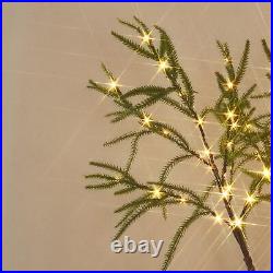 Hairui Lighted Christmas Norfolk Pine Tree 416 LED Fairy Lights 6FT Plug in Hairui Lighted Christmas Norfolk Pine Tree 416 LED Fairy Lights 6FT Plug in