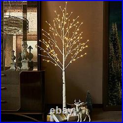 Hairui Lighted White Birch Tree 6FT 128L for Christmas Thanksgiving Holiday W