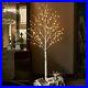 Hairui_Lighted_White_Birch_Tree_6FT_128L_for_Christmas_Thanksgiving_Holiday_W_01_puq