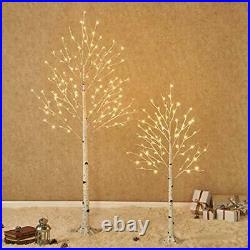 Hairui Lighted White Birch Tree 6FT 128L for Christmas Thanksgiving Holiday W