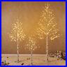 Hairui_Lighted_White_Birch_Twig_Tree_Twinkle_LED_Christmas_Home_Party_Decoration_01_xoav