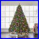 Hammacher_Christmas_Tree_New_York_City_Norway_Spruce_9_5_MULTICOLOR_LED_Light_01_tdk