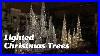 Holiday_Decorations_Are_Here_Lighted_Christmas_Trees_And_More_01_vfyz