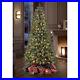Holiday_Time_7_5_Flocked_Austin_Christmas_Tree_8_Function_LED_Clear_Lights_01_db