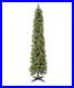 Holiday_Time_7ft_Pre_Lit_Shelton_Cashmere_Pencil_Fir_Christmas_Tree_White_LEDs_01_hc