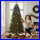 Home_Acccents_Holiday_6_5_ft_Festive_Pine_LED_Pre_Lit_Artificial_Christmas_Tree_01_bjp