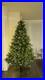 Home_Accents_9_ft_Aldon_Balsam_Fir_LED_Pre_lit_Tree_Free_Shipping_01_pnoa
