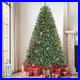 Home_Decorators_6_ft_Pre_Lit_LED_Grand_Duchess_Balsam_Fir_Christmas_Tree_01_gjkq