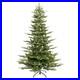 Home_Decorators_7_5_ft_Pre_Lit_Christmas_Tree_with_700_Clear_Lights_01_bb