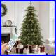 Home_Decorators_7_5_ft_Pre_Lit_Grand_Duchess_Fir_Christmas_Tree_01_bgt