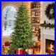 Home_Decorators_7_5_ft_Pre_Lit_Grand_Duchess_Fir_Christmas_Tree_01_go