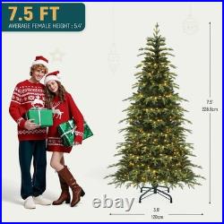 Home Decorators 7.5 ft Pre-Lit Grand Duchess Fir Christmas Tree