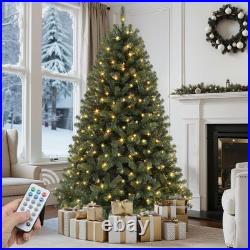 Home Decorators 7.5 ft Pre-Lit LED Grand Duchess Balsam Fir Christmas Tree