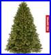 Home_Decorators_7_5_ft_Pre_Lit_LED_Grand_Duchess_Balsam_Fir_Christmas_Tree_01_uyj
