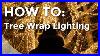 How_To_Light_Tree_Wrap_Christmas_Lighting_01_kiar