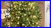 How_To_Put_Lights_On_A_Christmas_Tree_Video_Christmas_Tree_Decorating_Tips_01_ujkb