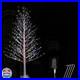 IJG_6FT_696LED_Christmas_Birch_Tree_Multicolor_Lights_with_Twinkle_Twinkling_01_ytje