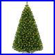 Katlot_6_Lighted_Spruce_Christmas_Tree_19_62_lb_01_hz