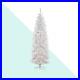 Kingswood_Fir_Lighted_Christmas_Tree_Holiday_Decoration_01_sz