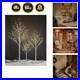 LED_Birch_Tree_Light_Set_4ft_6ft_8ft_Trees_with_Warm_White_Lights_Indoo_01_sh