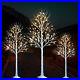 Lighted_Birch_Tree_4_6_8_FT_Set_of_3_Decoration_LED_Lighted_Trees_for_Christmas_01_qa