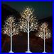 Lighted_Birch_Tree_Artificial_Twig_Tree_with_Lights_Christmas_Decoration_01_rvv