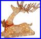 Lighted_Deer_Christmas_Decoration_Reindeer_Indoor_Outdoor_Yard_Lawn_Tinsel_4FT_01_pqk